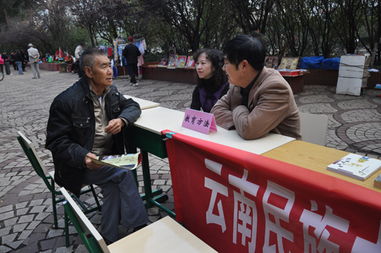 黨員服務進社區，教育咨詢暖人心——記云南民族中學黨員教育咨詢服務活動